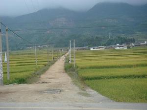 大甸尾自然村