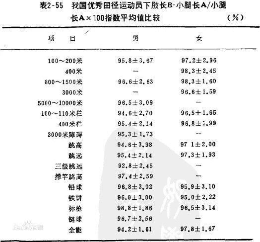 [(下肢長B-小腿長A)/小腿長A]×100