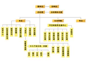 深圳市飛亞達(集團)股份有限公司組織構架