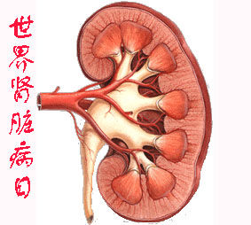 急性腎炎