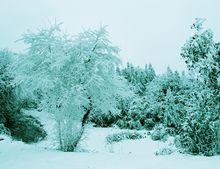 茨竹鎮雪景