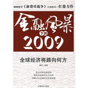 《金融風暴下的2009》