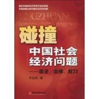 《碰撞中國社會經濟問題》