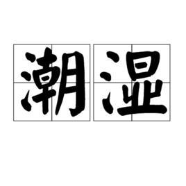 潮濕[詞語]