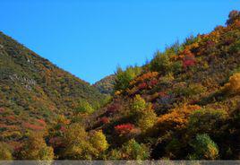 紫金山[山西省朔州市紫金山]