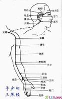 手少陽三焦經