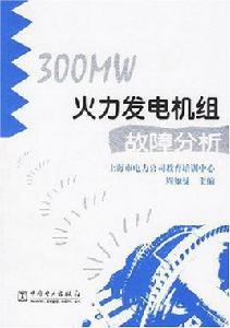 300MW火力發電機組故障分析