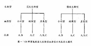 （圖）非01霍亂弧菌腸炎