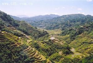 蕙南山村