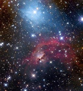 IC 444