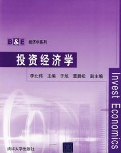 投資經濟學[清華大學出版社出版的圖書]