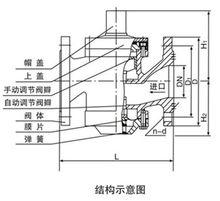 LDV-16動態平衡閥結構圖