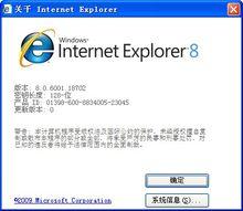 Internet Explorer 8