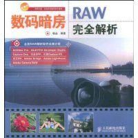 《RAW完全解析》