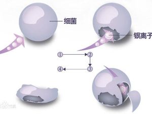 銀離子抑菌圖示