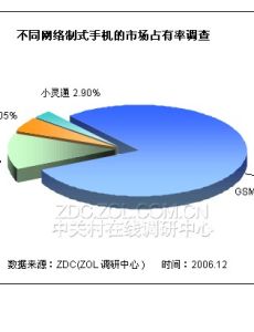 網路制式