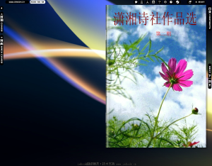 電子雜誌