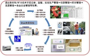 食品安全溯源體系