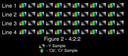 YUV 4:2:2採樣概念圖