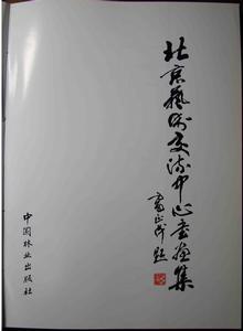 北京藝術交流中心書畫集