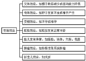 母體效應