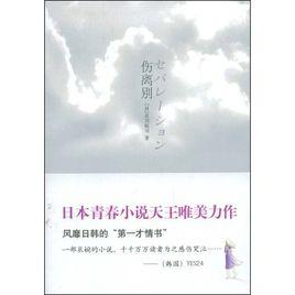 傷離別[市川拓司所作書籍]