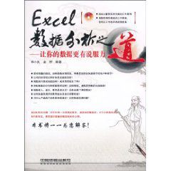 Excel數據分析之道