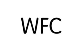 WFC[基本類庫]