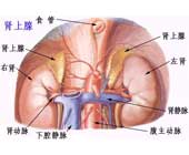 老年人嗜鉻細胞瘤危象