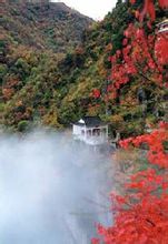 南宮山國家森林公園