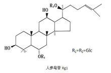 結構式