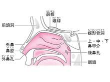 鼻腔異物