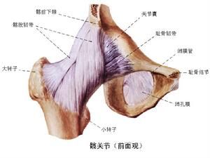 白血病的齦病損