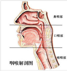 急性咽喉炎