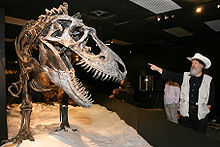 羅伯特·巴克與在休士頓古生物自然科學博物館展出的蛇發女怪龍