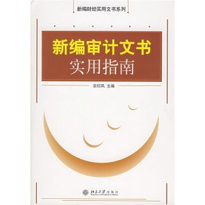 《新編審計文書實用指南》