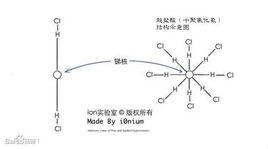 吸引力法則[吸引定律]