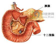 血管活性腸肽瘤