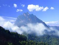 白雲山國家森林公園