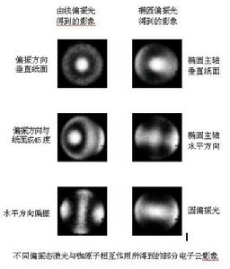 實驗獲得的電子云影像