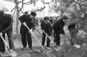 2011年3月26日，部長們在植樹