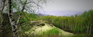 翠雲山[翠雲山－－京西第一霧山]