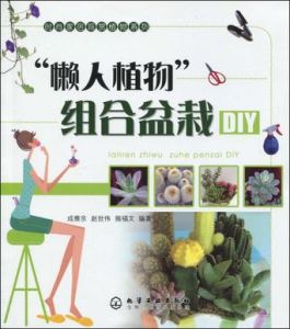 《懶人植物組合盆栽DIY》