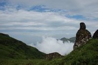 雲南巧家中國藥山藥用植物園