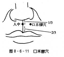 長頻穴