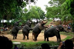 德希韋拉動物園