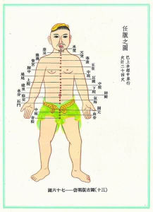 九陽功