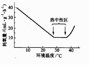 內溫動物