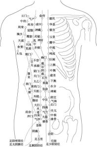 上半身穴位示意圖