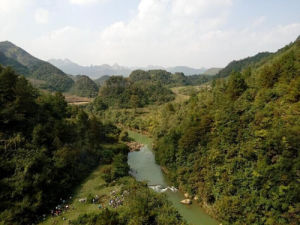 野梅嶺森林公園